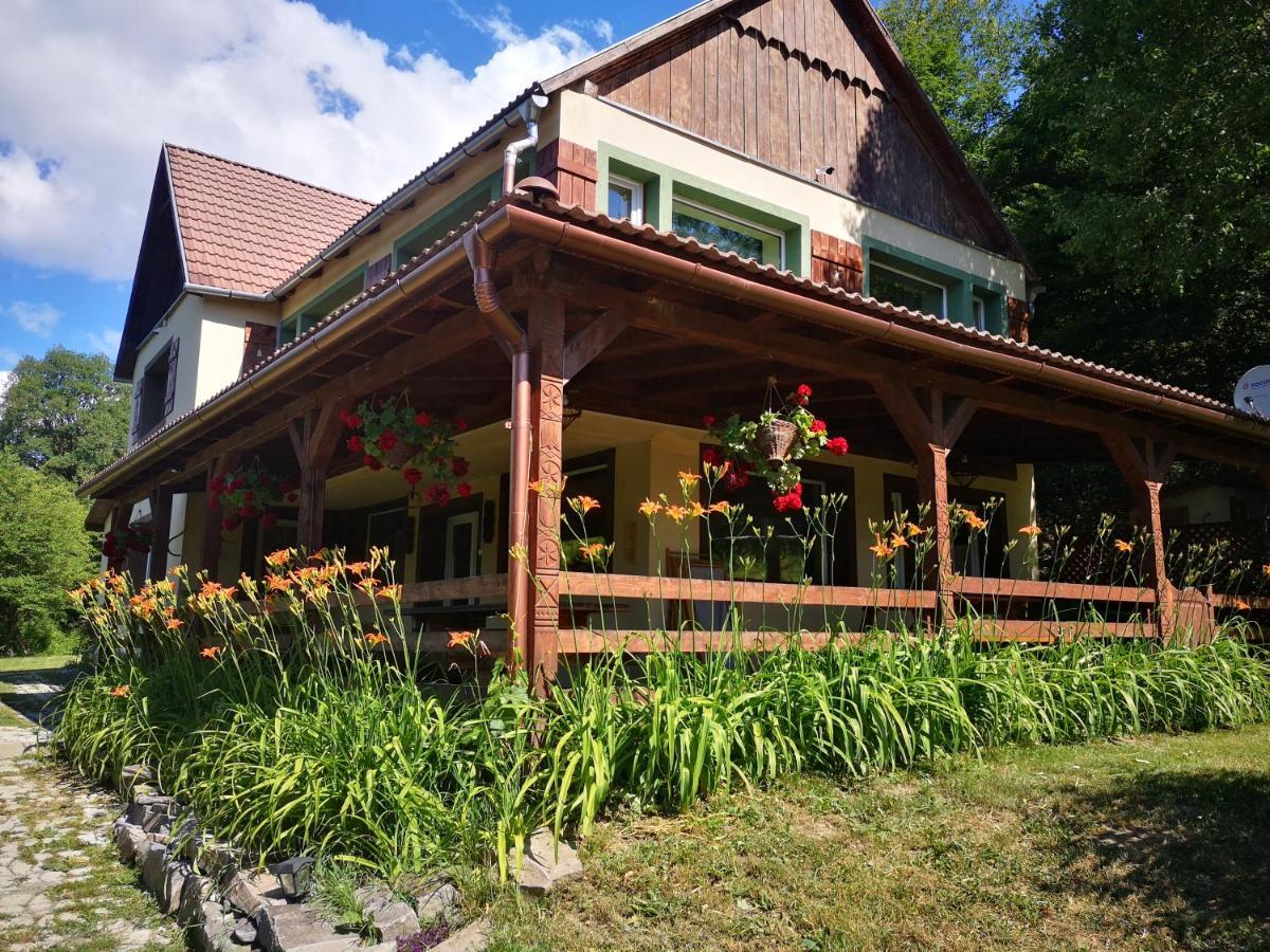 Parkside Vila Odorheiu Secuiesc Dış mekan fotoğraf