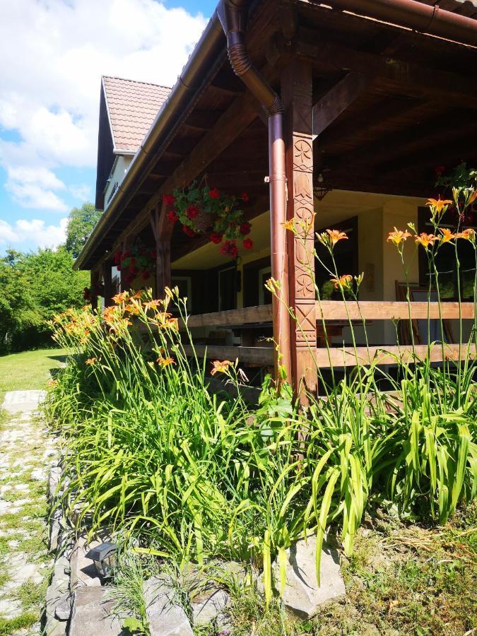Parkside Vila Odorheiu Secuiesc Dış mekan fotoğraf