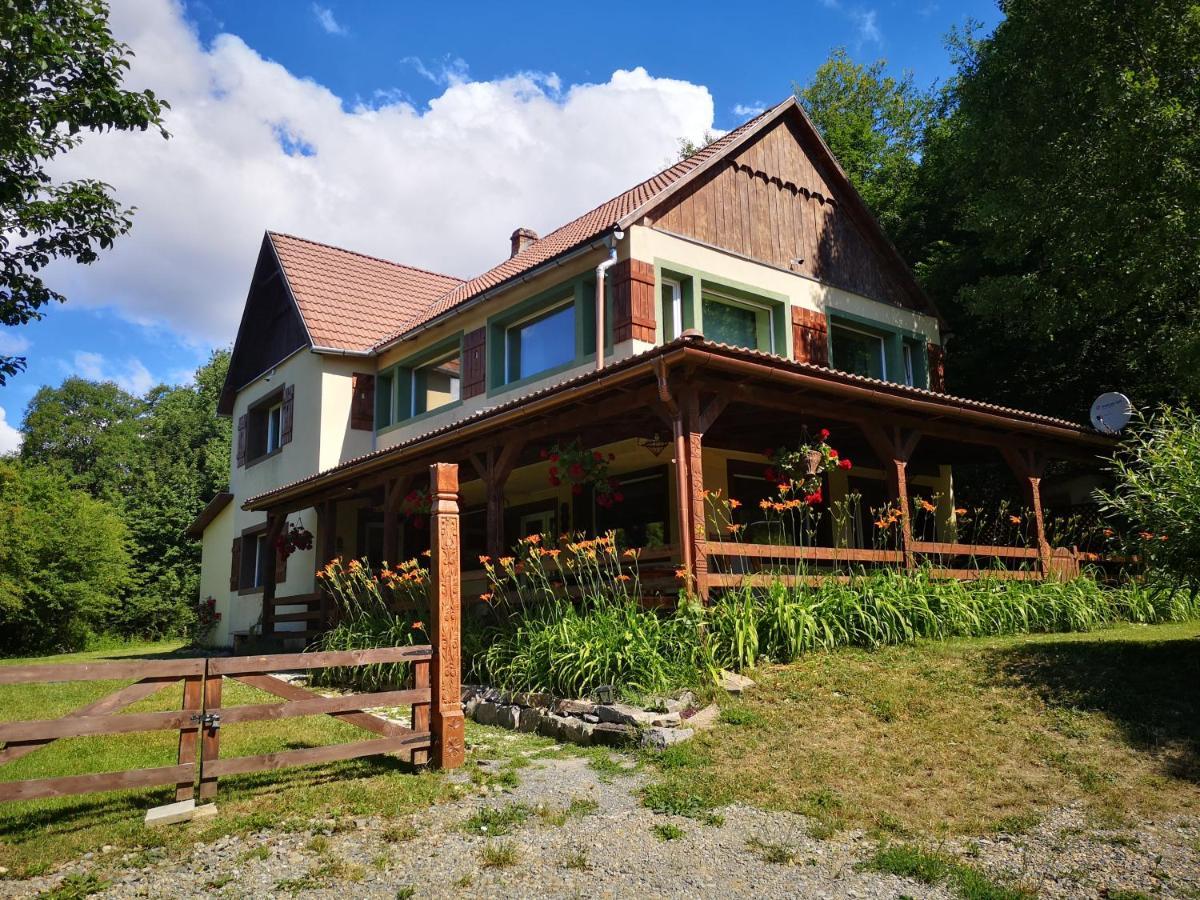 Parkside Vila Odorheiu Secuiesc Dış mekan fotoğraf
