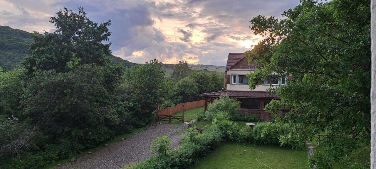 Parkside Vila Odorheiu Secuiesc Dış mekan fotoğraf